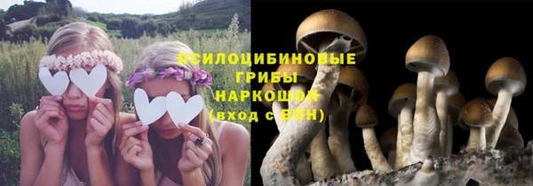 2c-b Абдулино