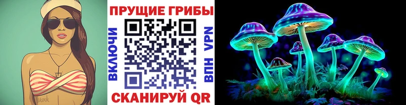 сколько стоит Снежногорск Псилоцибиновые грибы Magic Shrooms